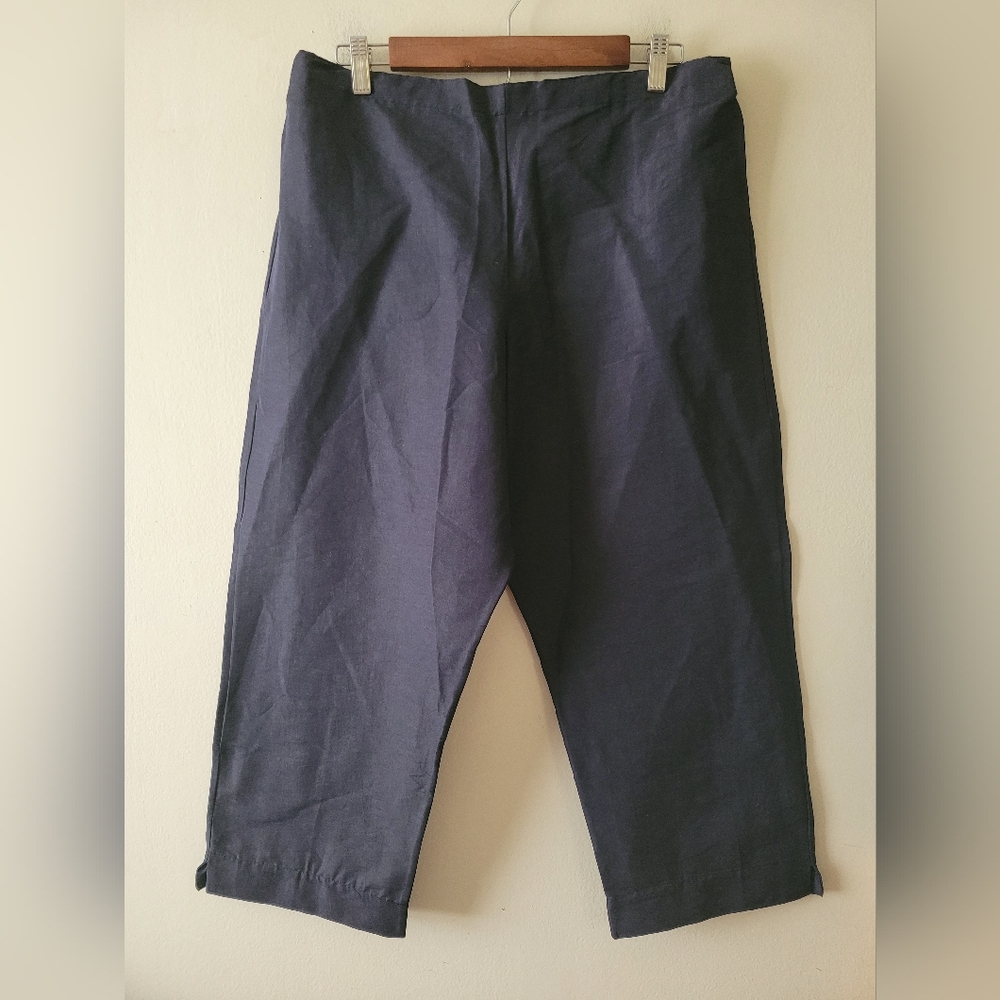Bryn Walker Linen Nylon Boho Garden Lagenlook Pull On Casual Crop Pants Large